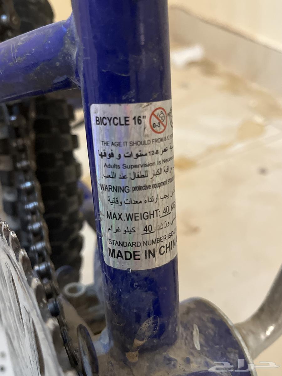 Cycle64436212839683113