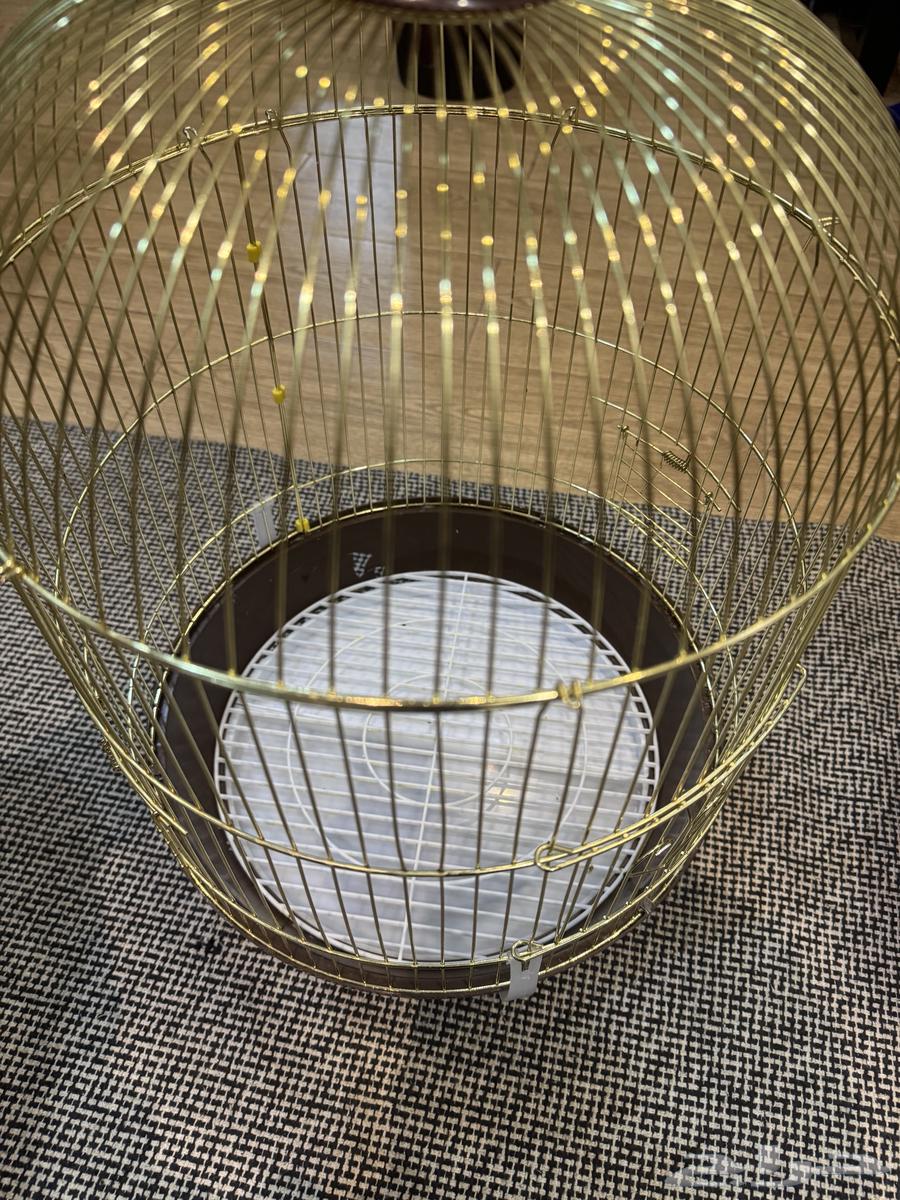 Two cages for 70 SAR, clean64437463315841114