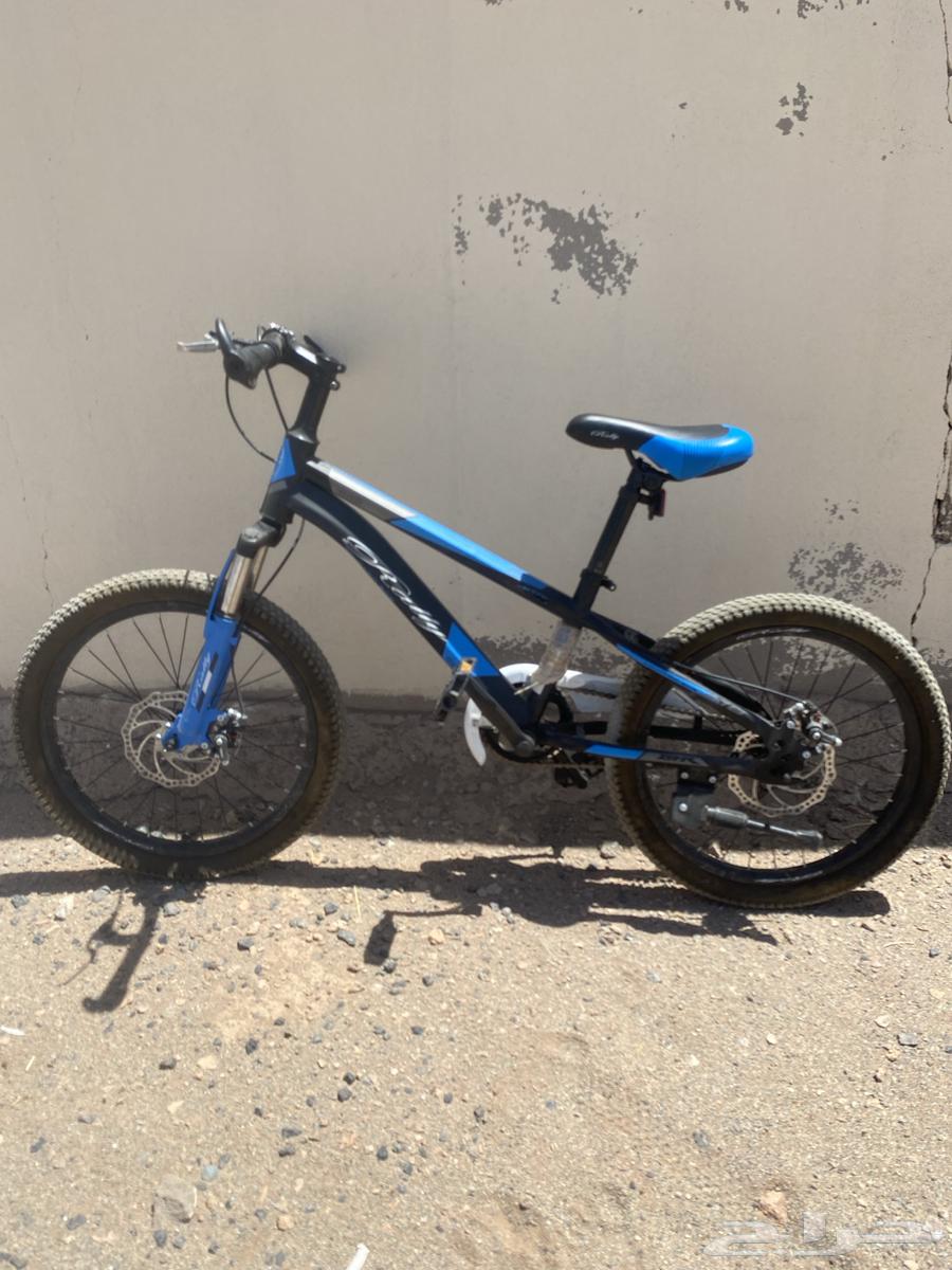 سيكل للبيع لا يجي إلا الصامل64438525008385111