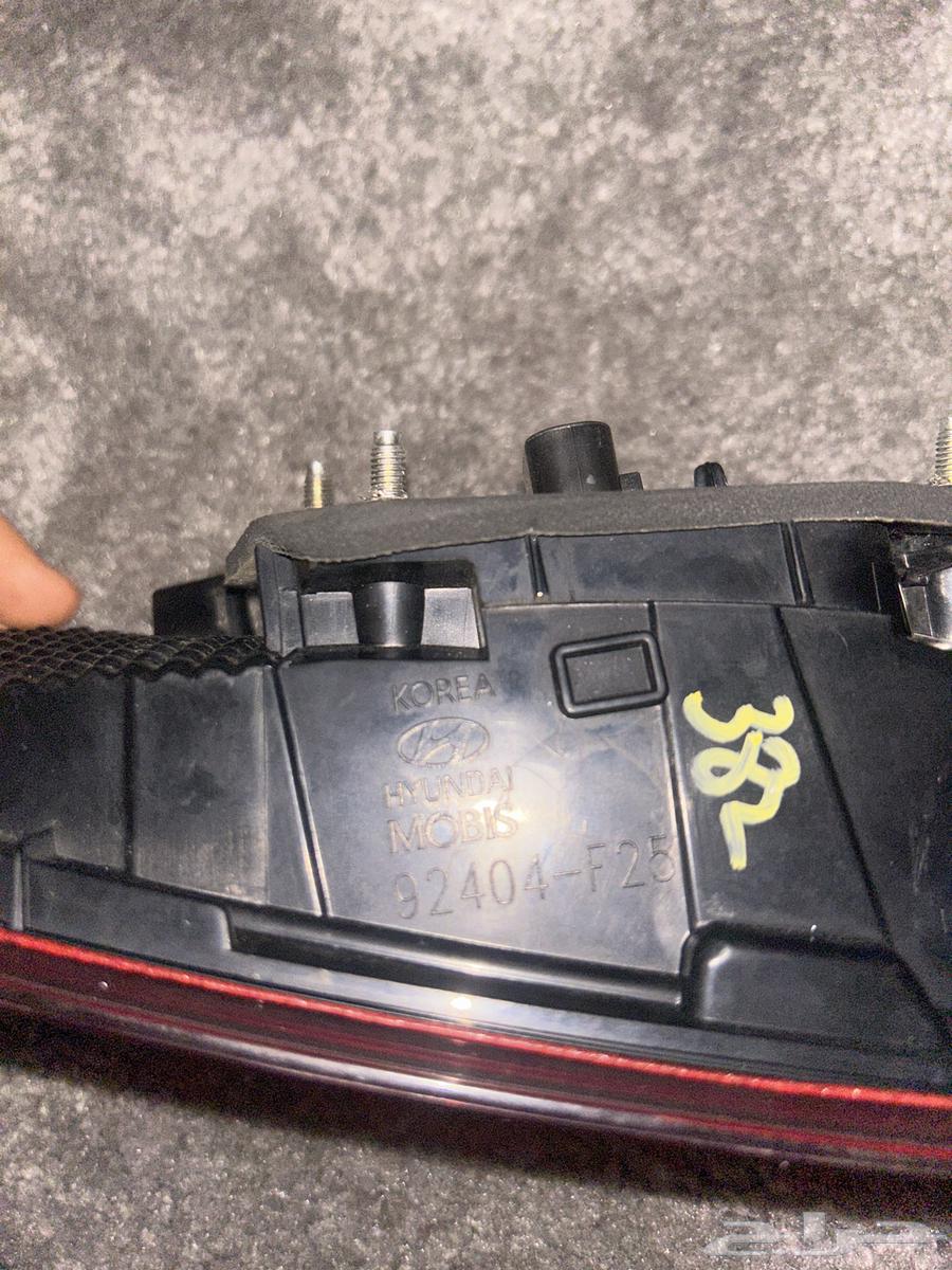 Rear Right Nitro Struts 2019-202064593765617538113