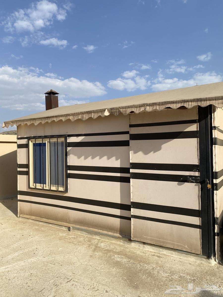 مشب (4 3) للبيع بحالة ممتازة64438378143619110