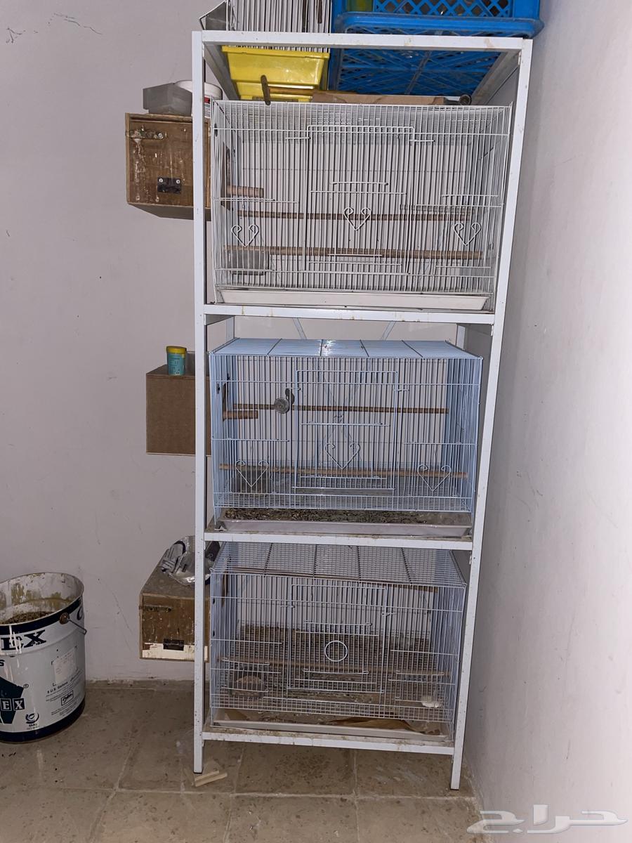 اقفاص واستاند64435081901699111