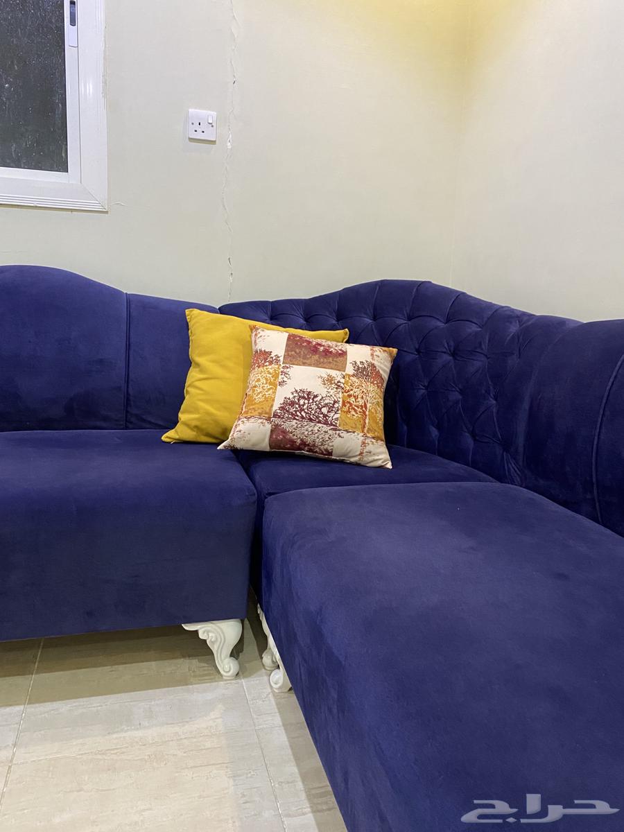 كنب حرف L64439788675713110