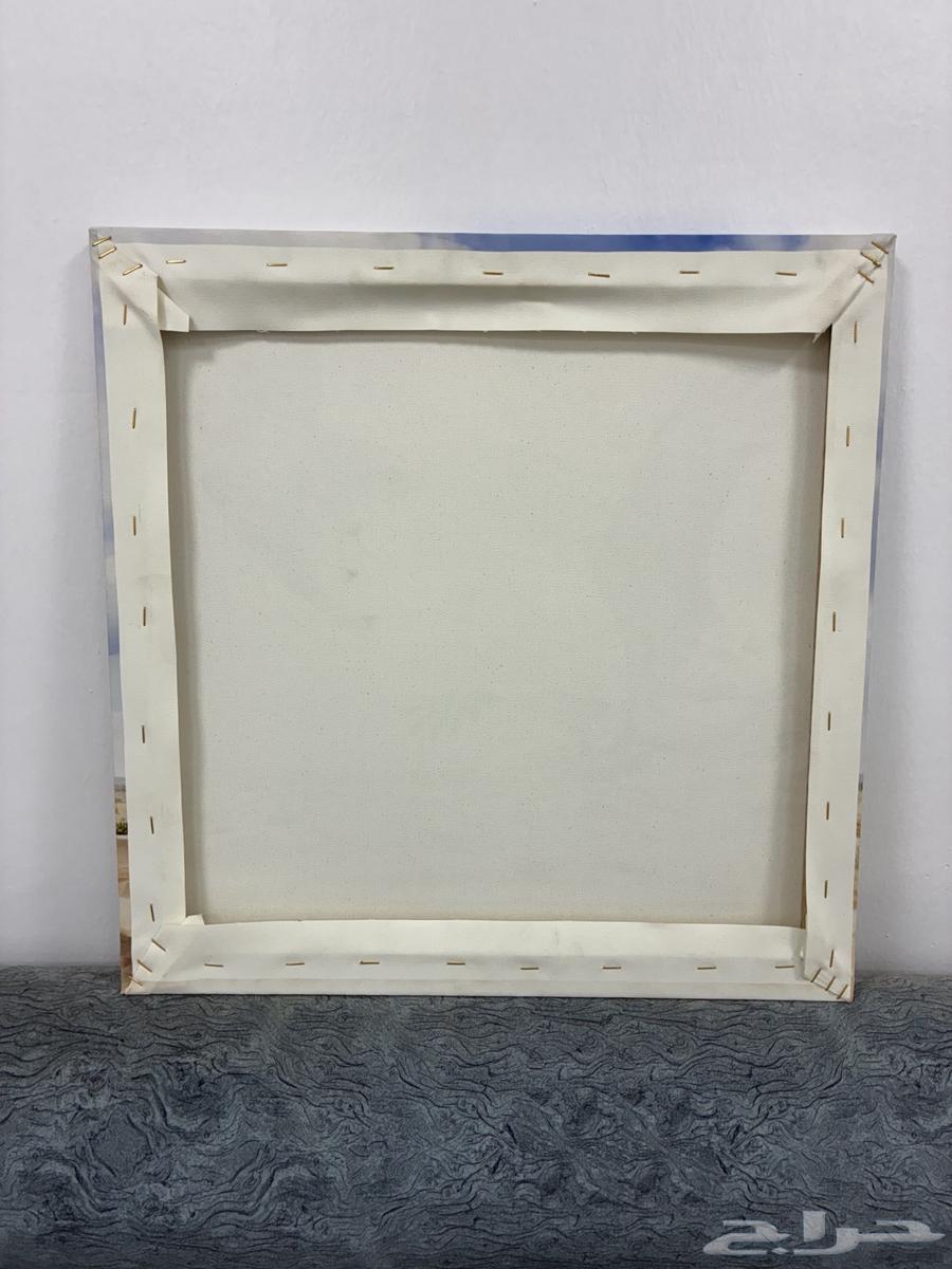 Canvas board price 70 riyals size 50 5064438767024129111