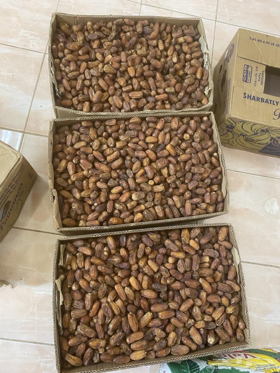 تمر للبيع لون وحبه64436400193153110
