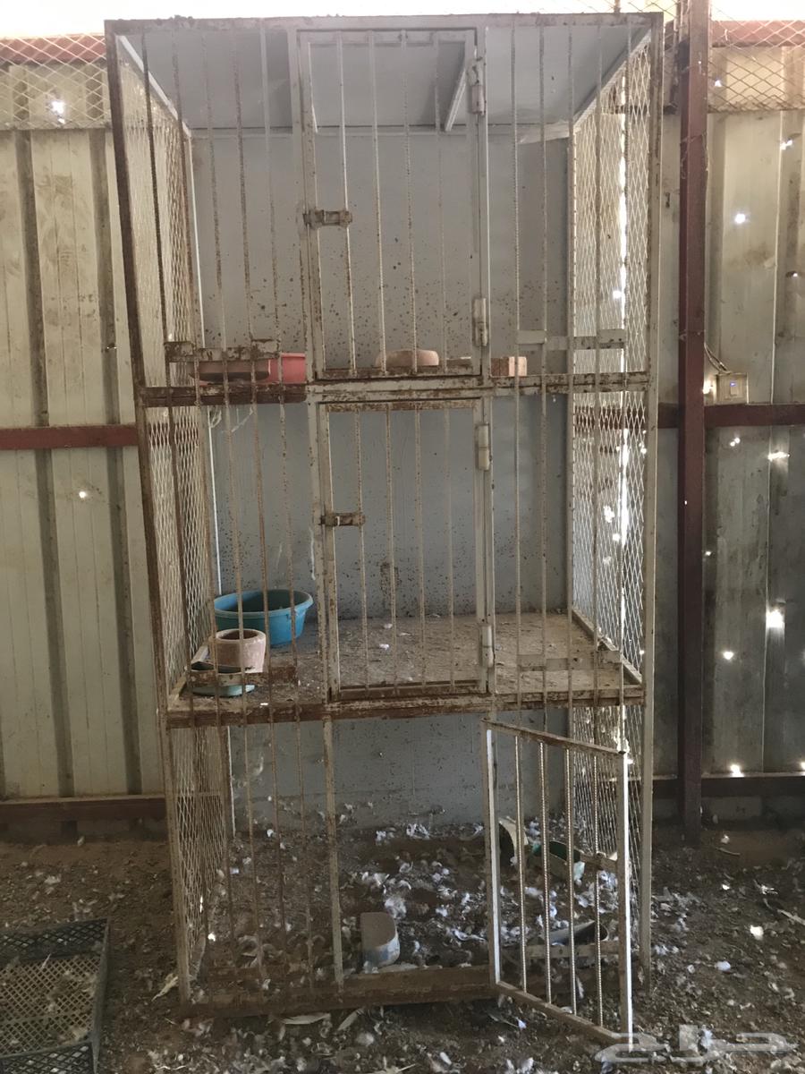 للبيع محاكر حمام نظيفه64435782019075111