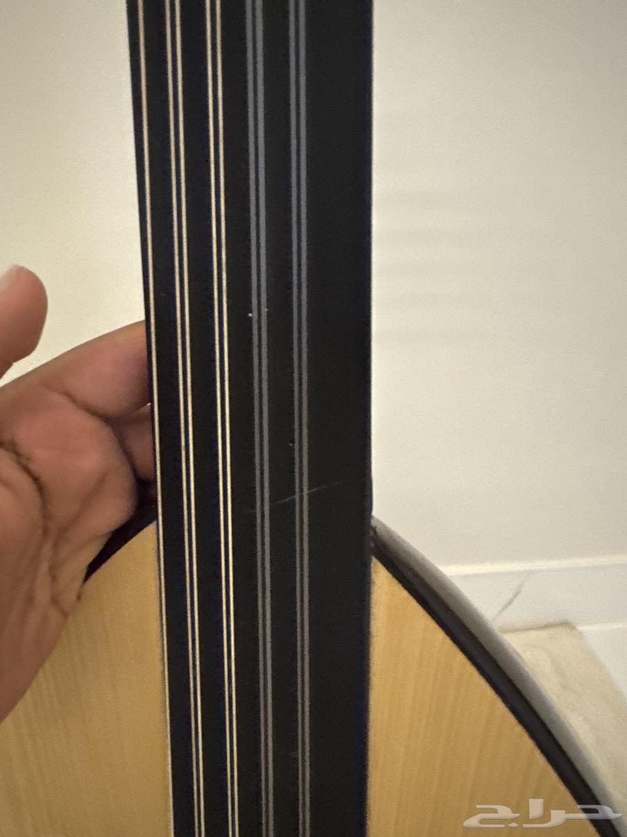 عود للبيع64437720029825112
