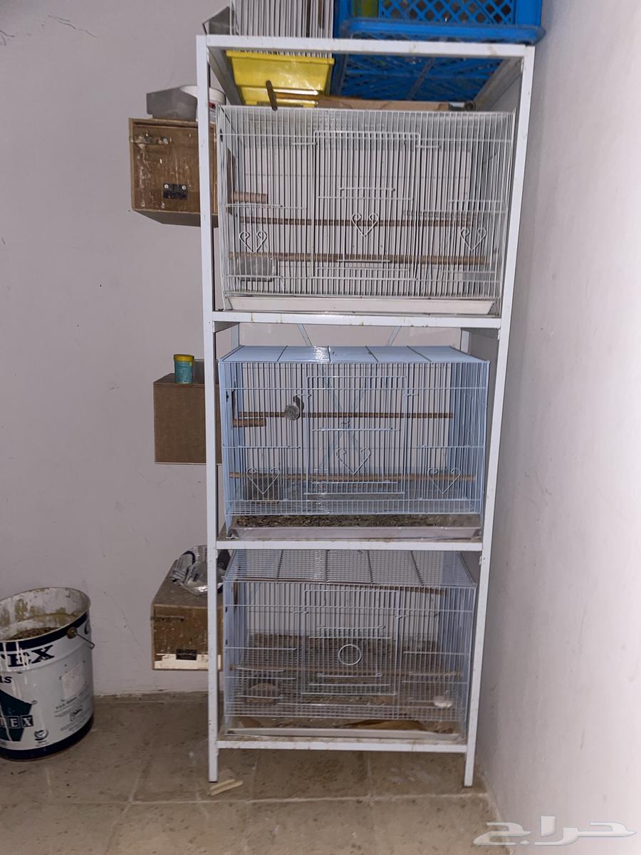 اقفاص واستاند64435081901699110