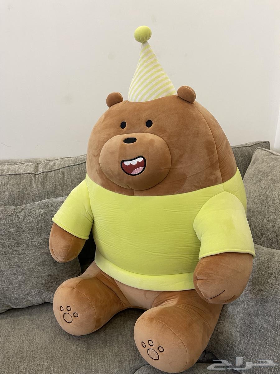 دب شهاب الحجم الكبير64435809254145111