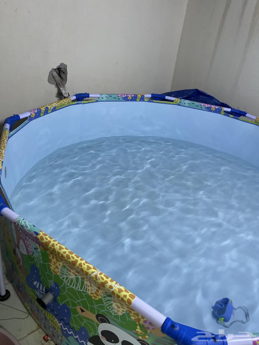 Swimming pool. Used twice. Just add once64440765934593112