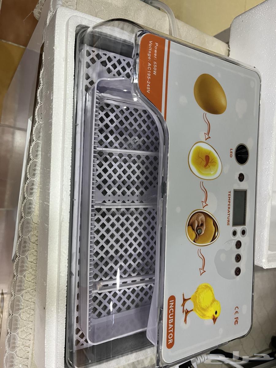 فقاسه جدده استخدام مره وحده وبيعها لعدم التفرغ64434674132738112