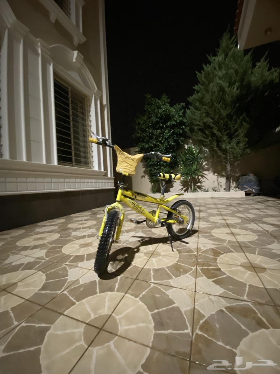 سيكل كوبرا نظيف المقاس 1664438123302401110