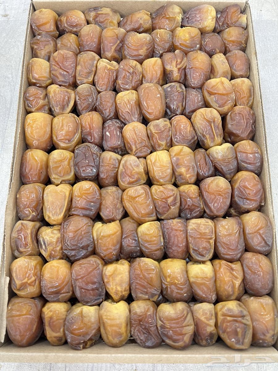 Hail Sugar Date64441540207490111