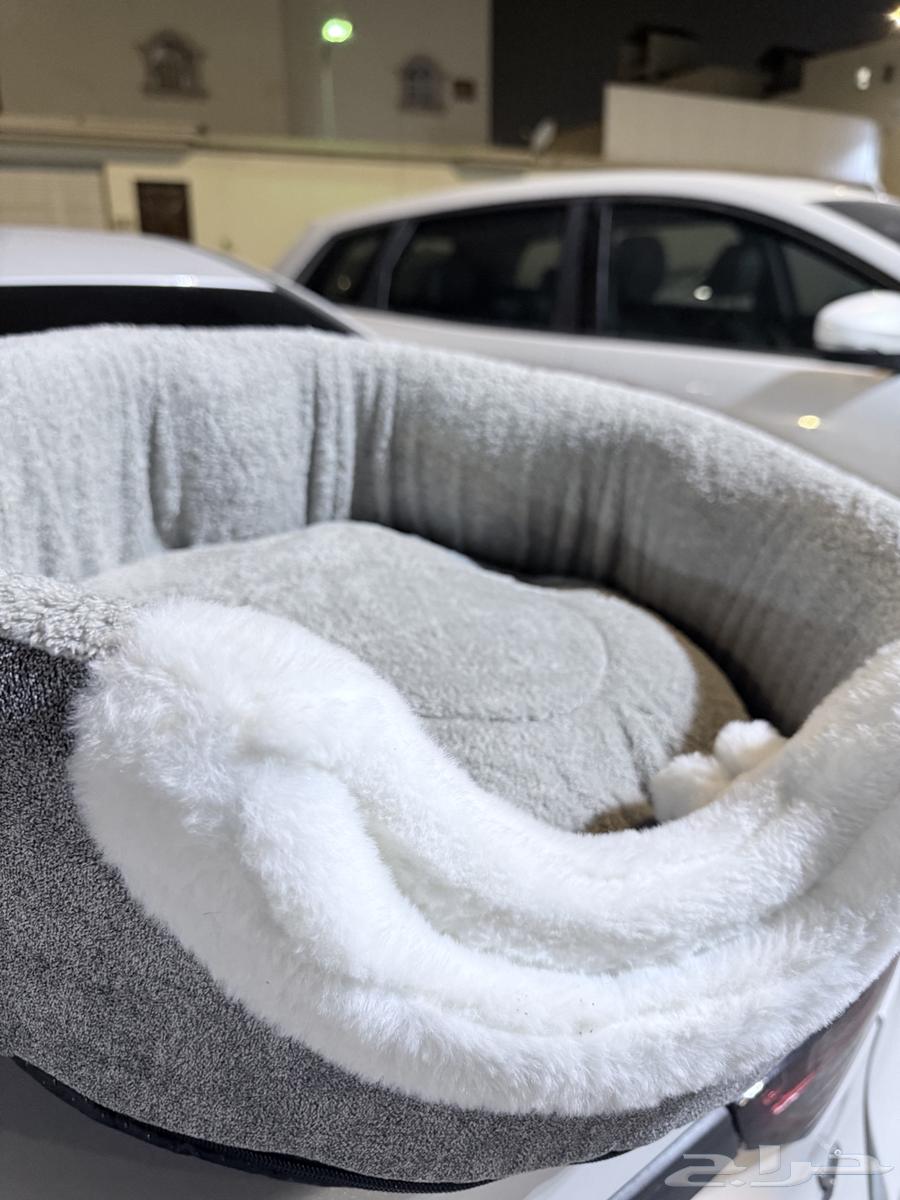 اغراض قطه للبيع64438324463363112