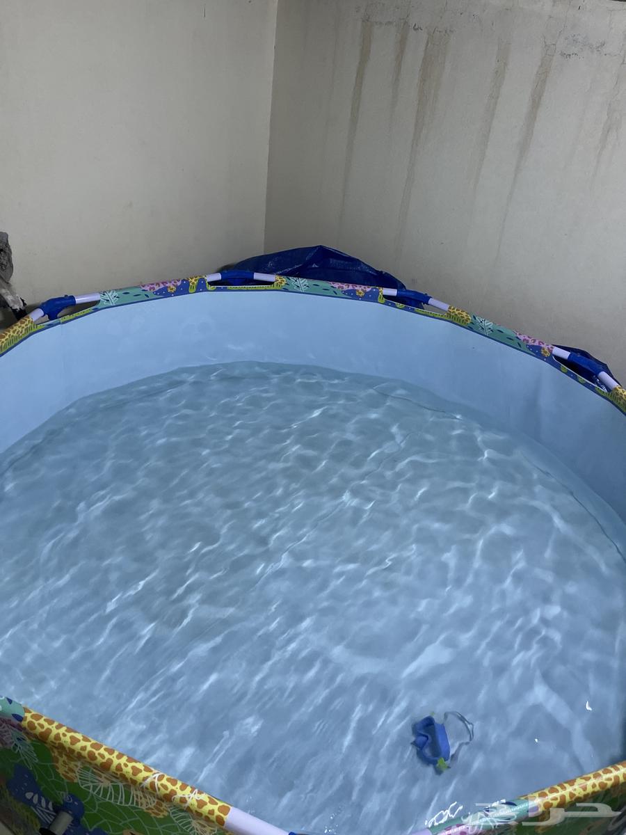 Swimming pool. Used twice. Just add once64440765934593111