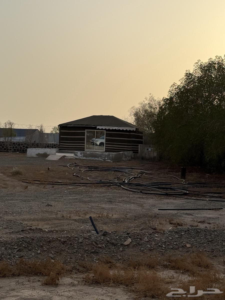 بيت شعر بكامل أثاثه للبيع64440887674242112