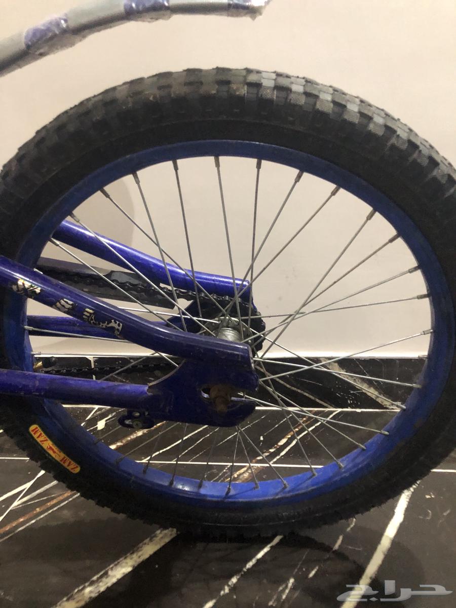 Cobra bicycle64433766781186114