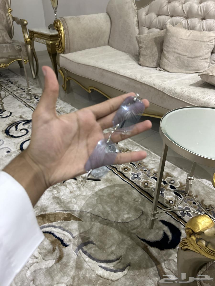 نظارة اصليه كشخه اناقه اصليه والغطى موجود64440451448321111
