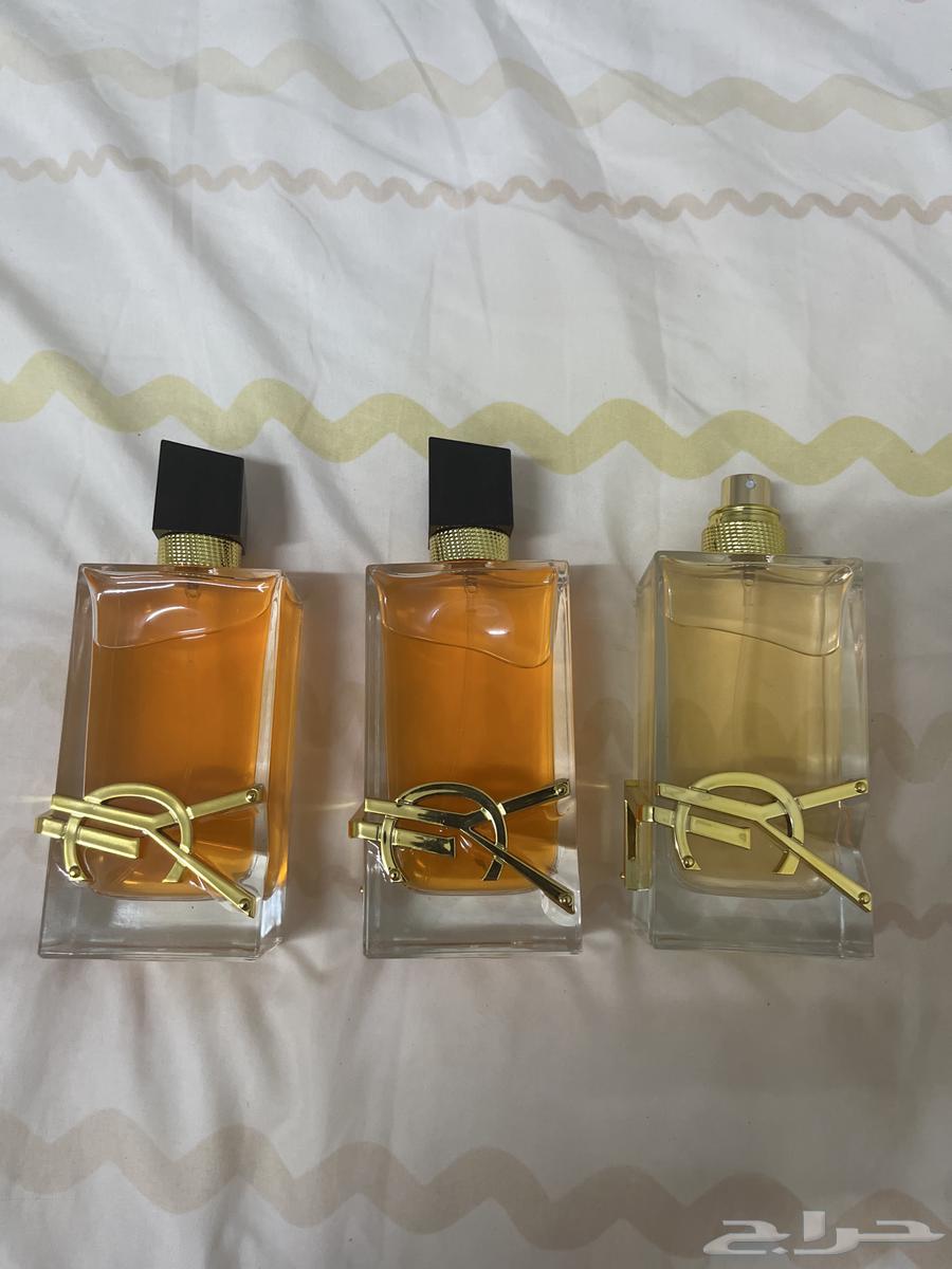 Master Perfumes64440901164162112