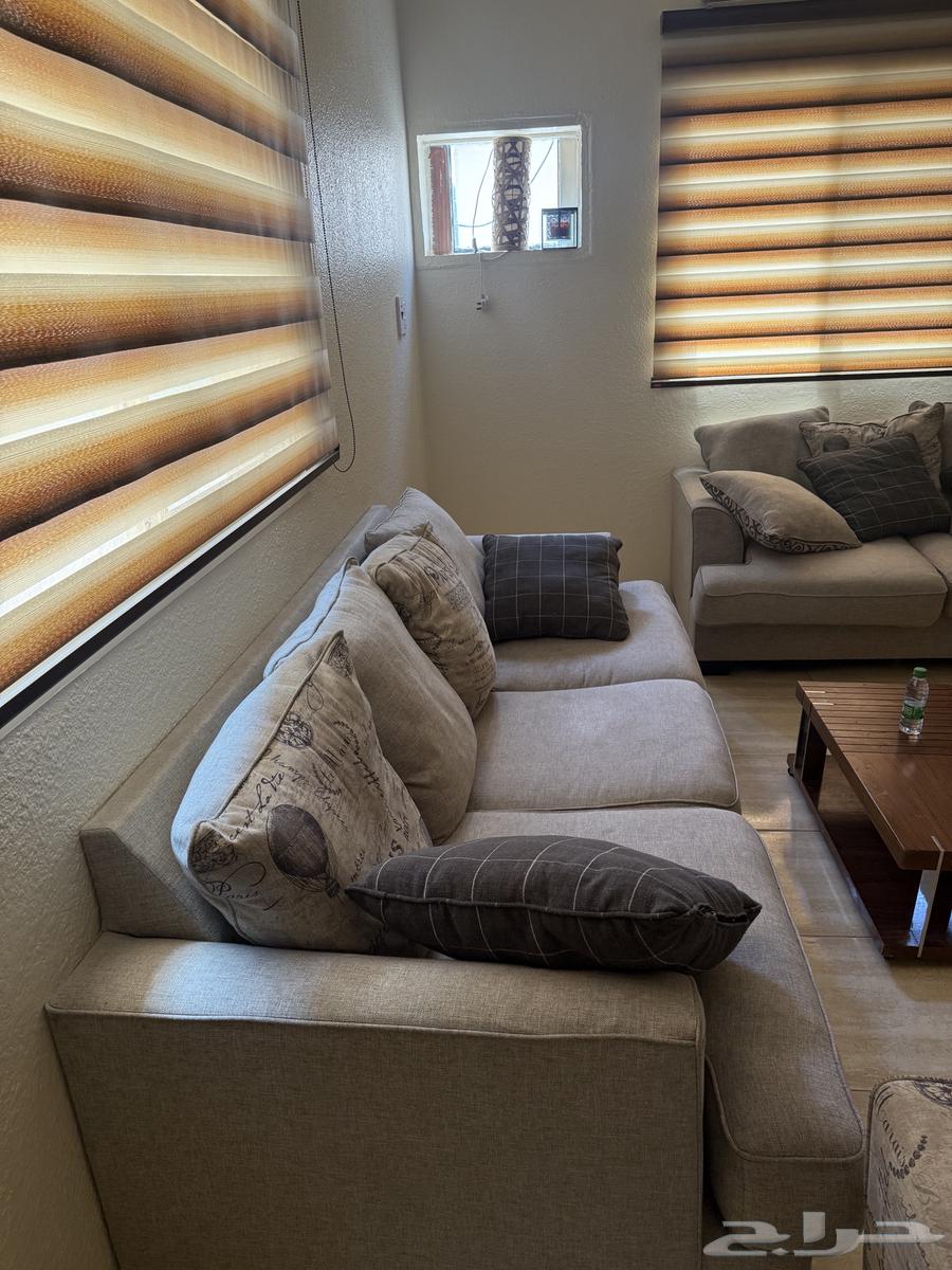 كنب اشلي للبيع64436520943875111