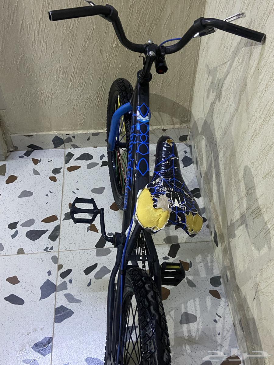 سياكل رياضي رامبو آخر من الاخر64440955065603113