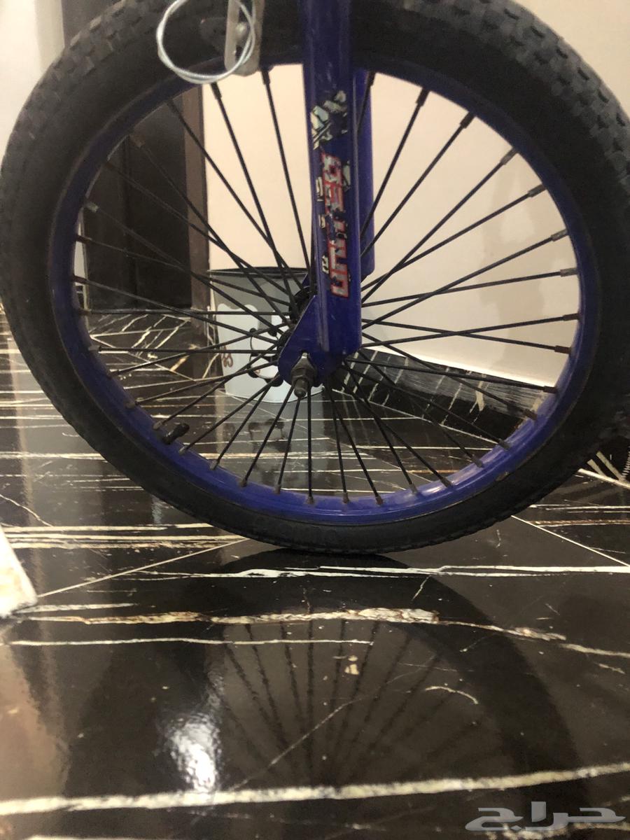 Cobra bicycle64433766781186113