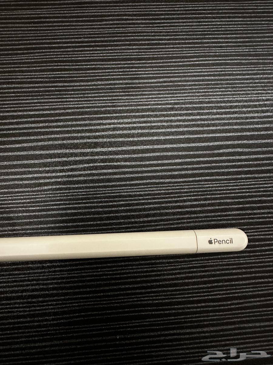 قلم ابل Apple Pencil USB-C64438431962370113