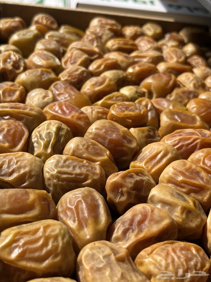 Al-Qassim Dates Premium64439185814529110