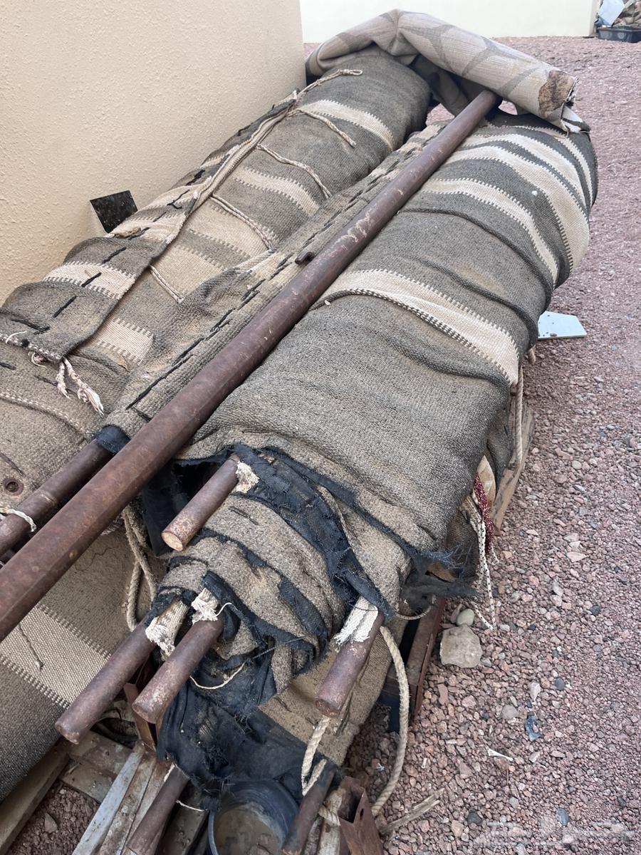 بيت شعر للبيع64437666165635110