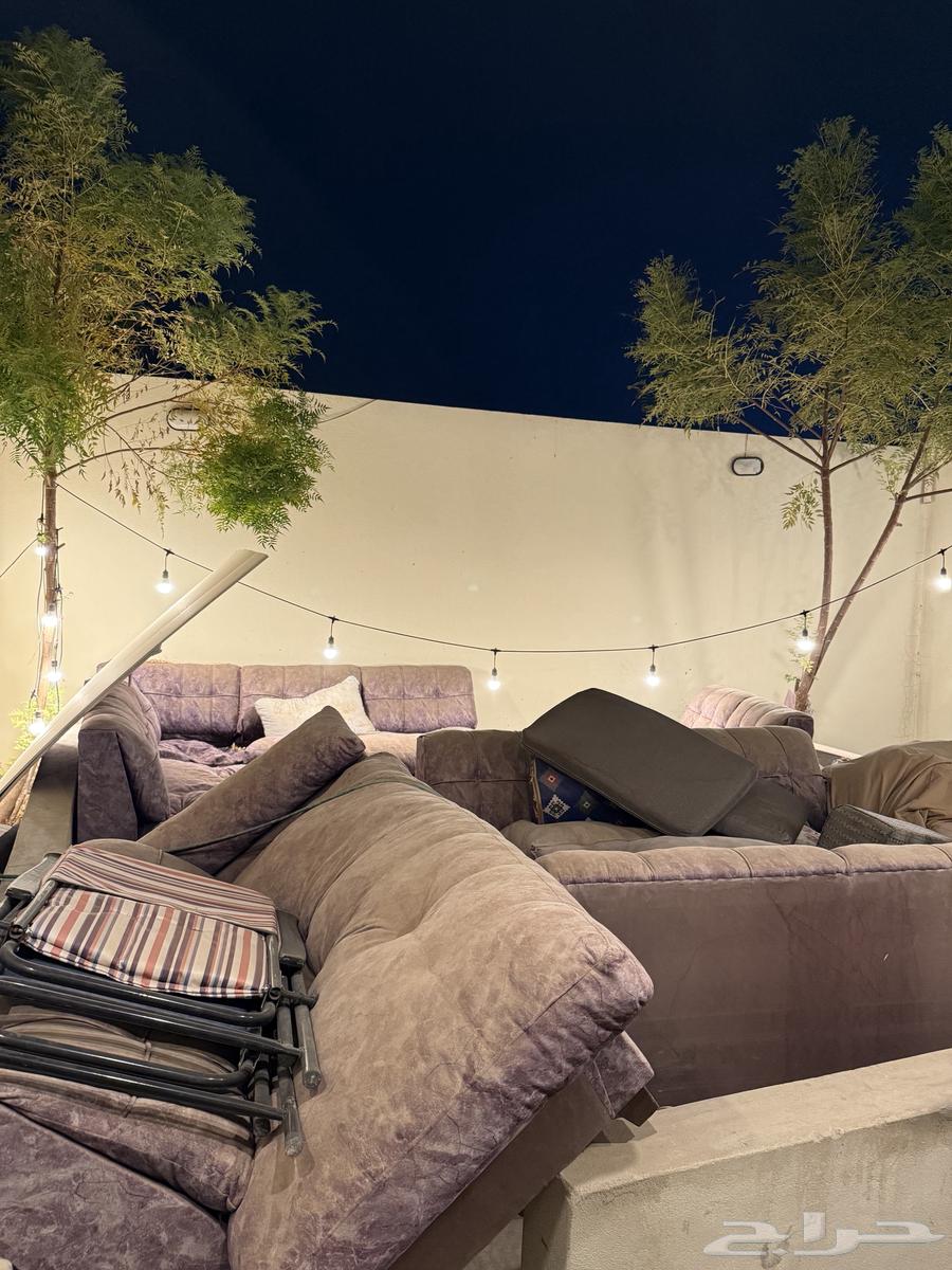 كنب 6 قطع وزاويه64441364026626110