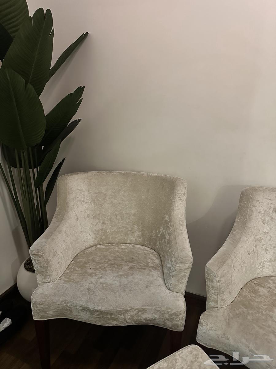 طقم كرسي فردي للبيع نظيف64435272180227113