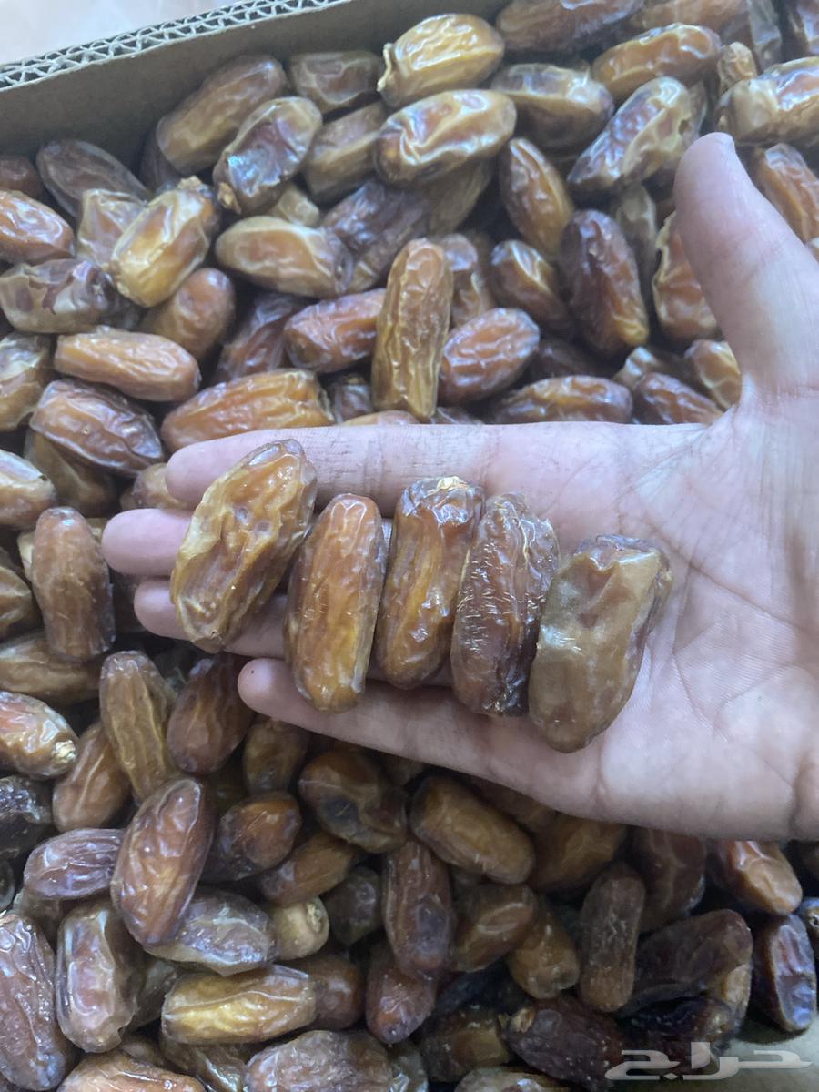 تمر للبيع لون وحبه64436400193153111