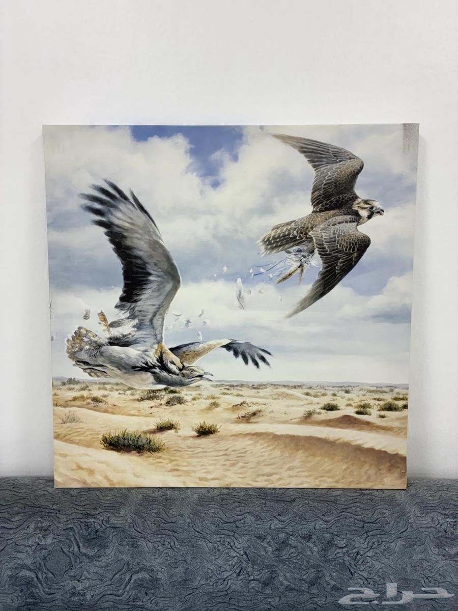 Canvas board price 70 riyals size 50 5064438767024129110