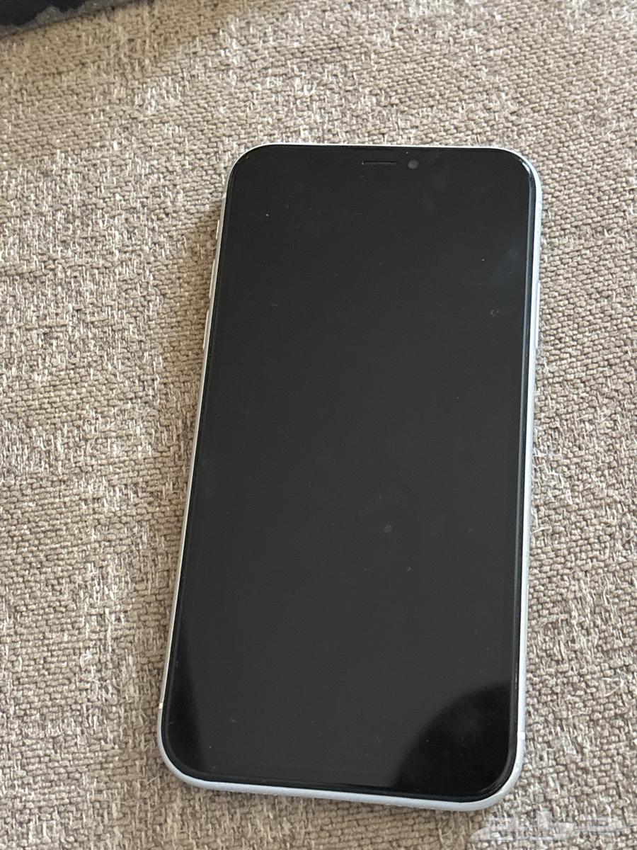iPhone XR64436319889537110