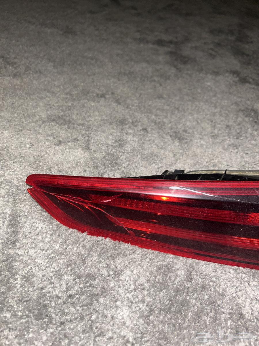 Rear Right Nitro Struts 2019-202064593765617538111