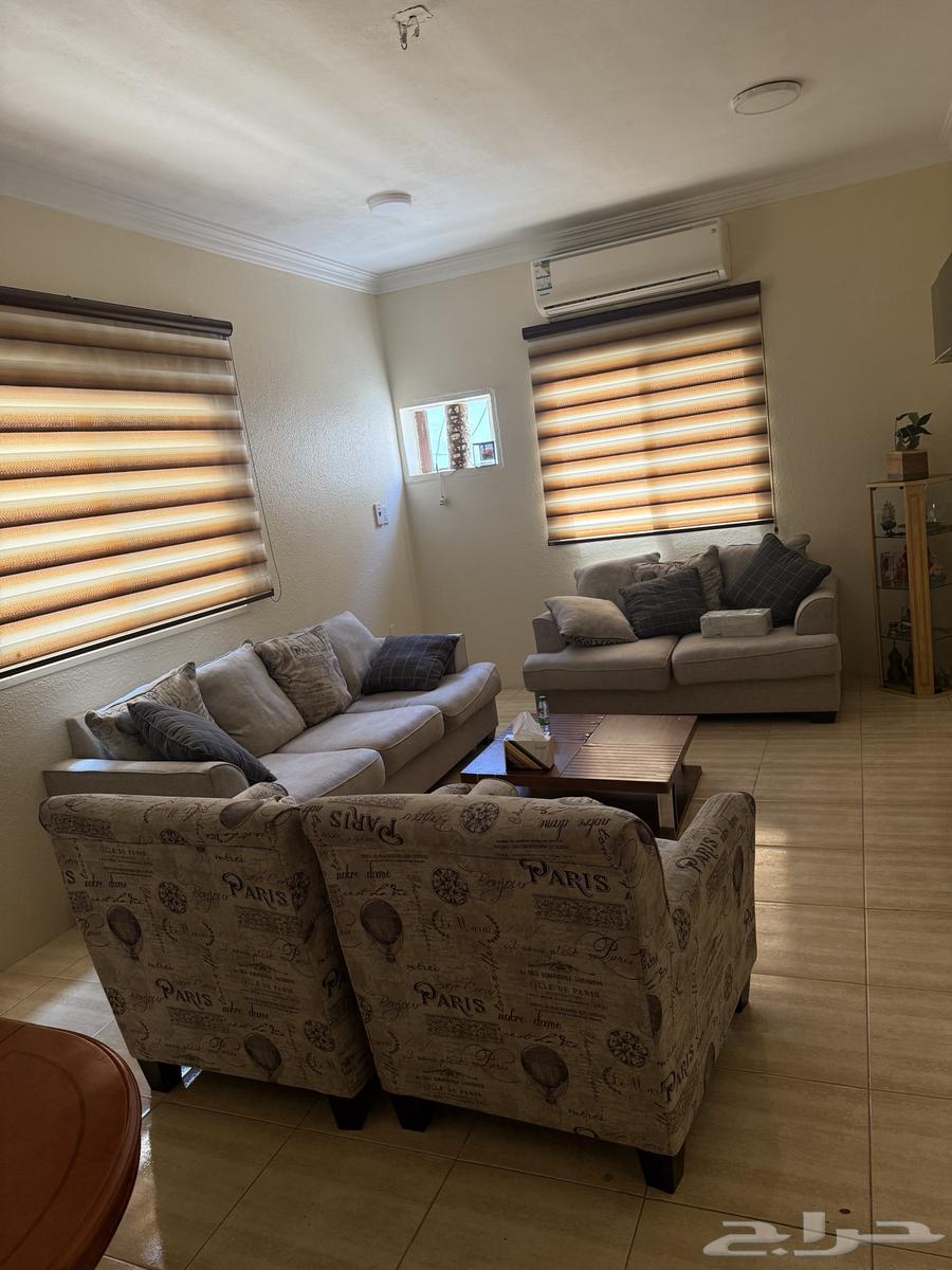 كنب اشلي للبيع64436520943875110