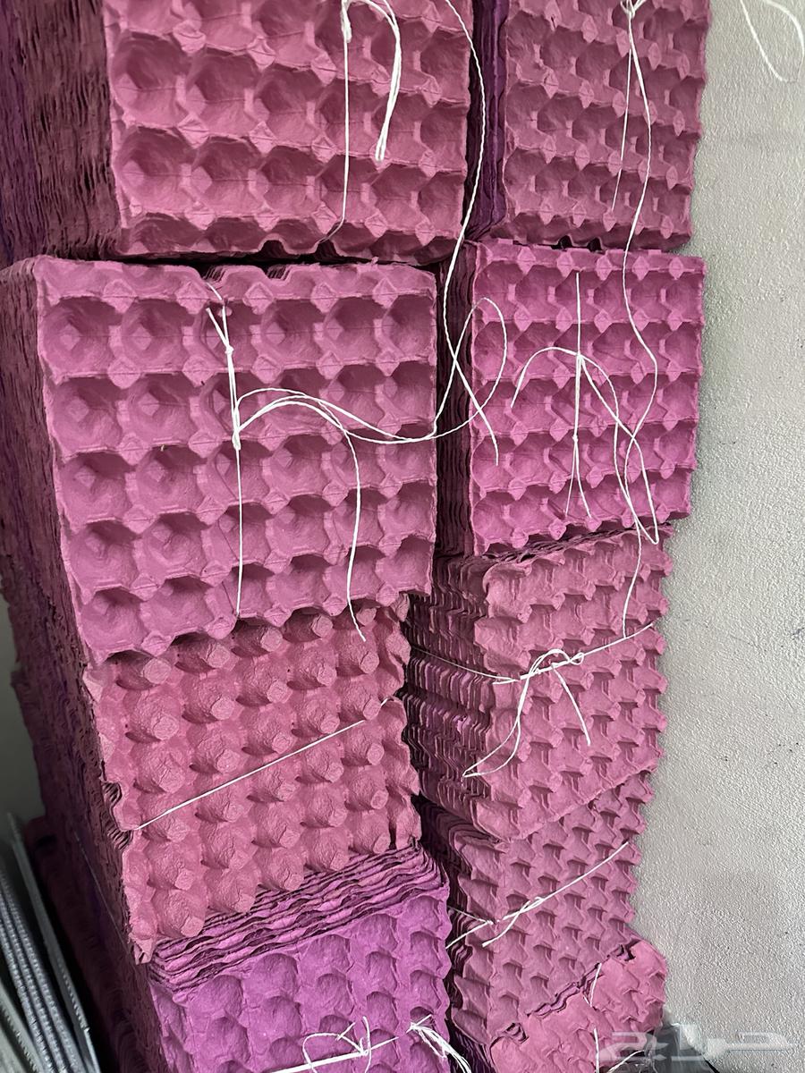 يتوفر اطباق بيض نظيفة جدا64439904231810114