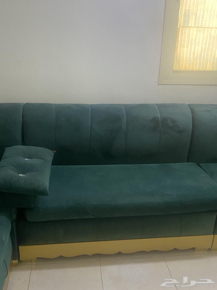 كنب للبيع بحاله ممتازة جدا64436722066563112