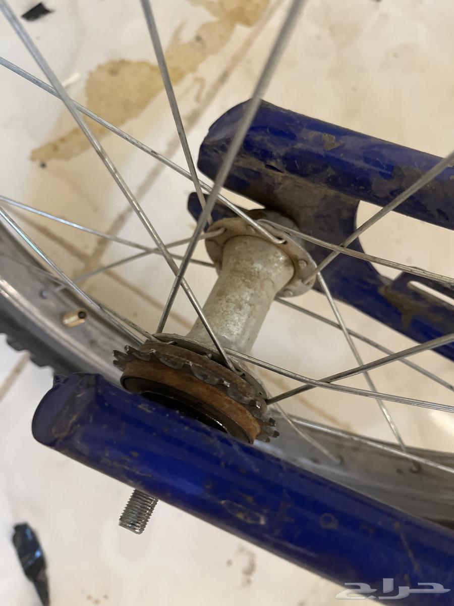 Cycle64436212839683111