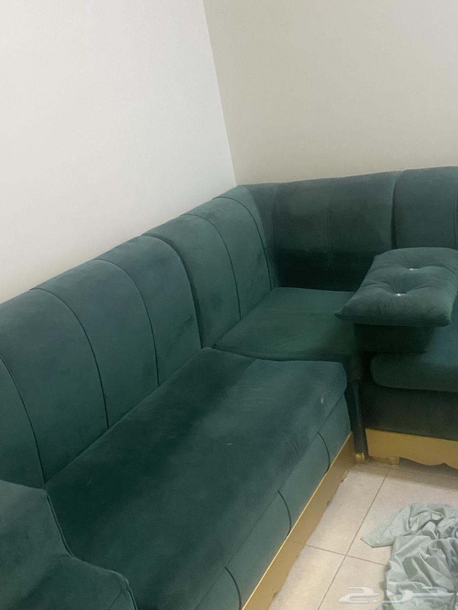 كنب للبيع بحاله ممتازة جدا64436722066563113