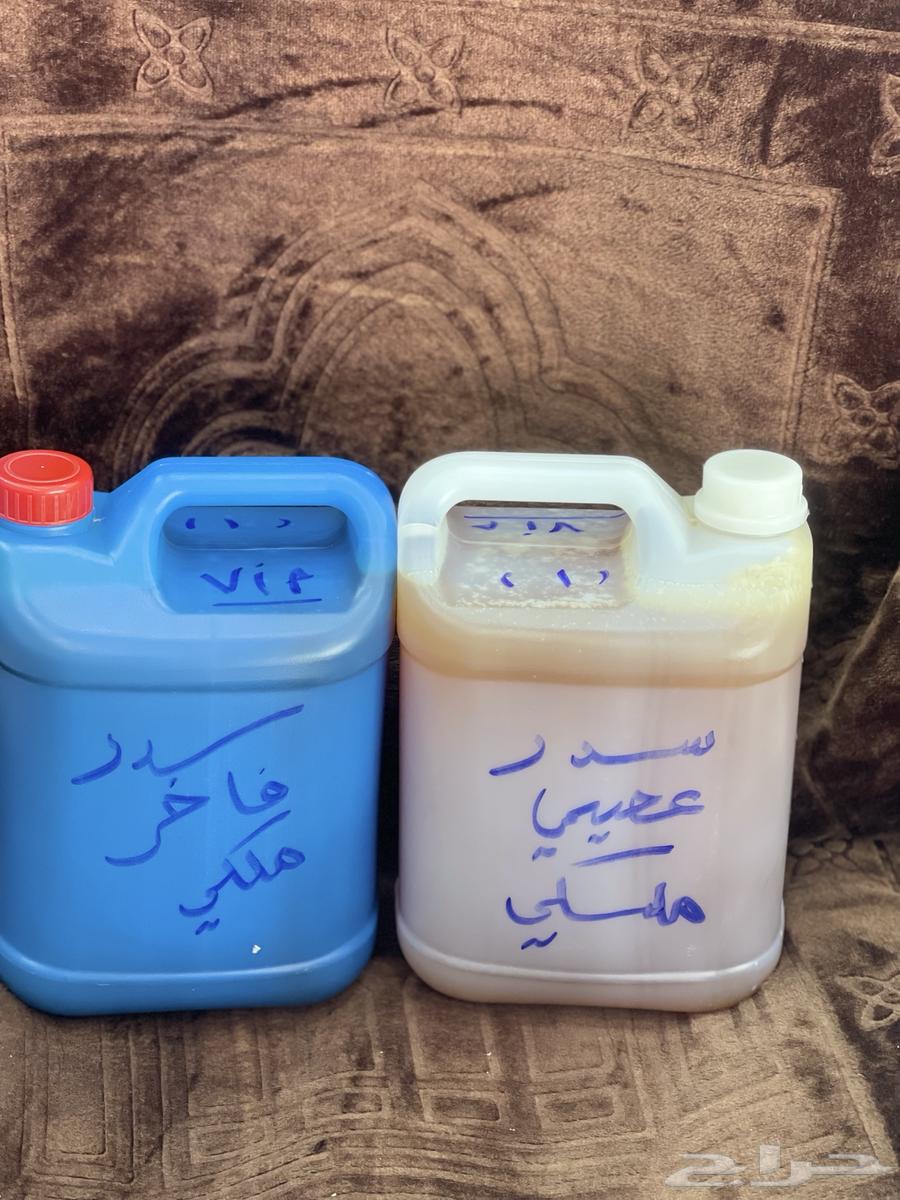 سدر ملكي يمني درجه اولى64435327196545114