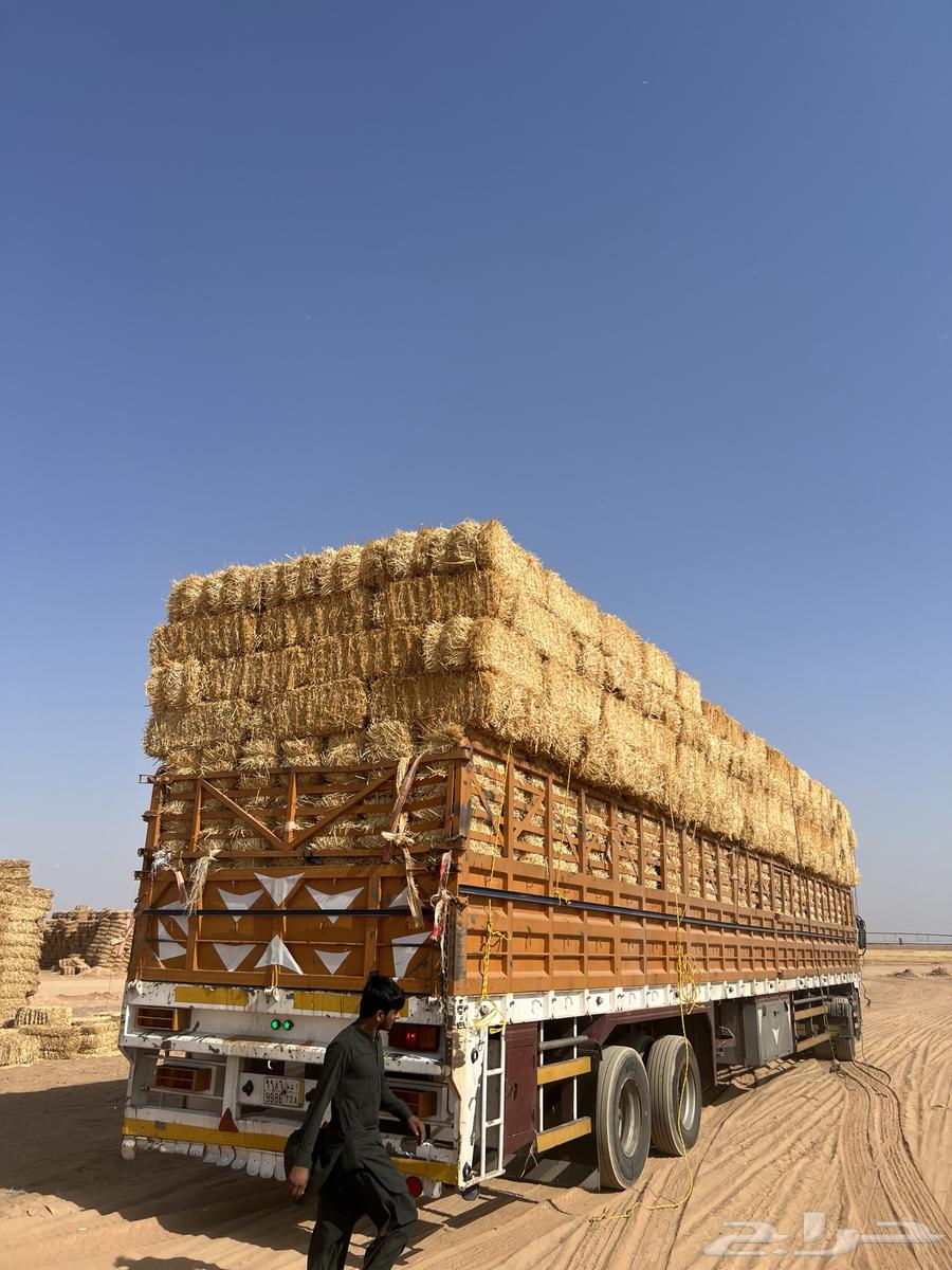 الدفع عند الاستلام64437342120449113