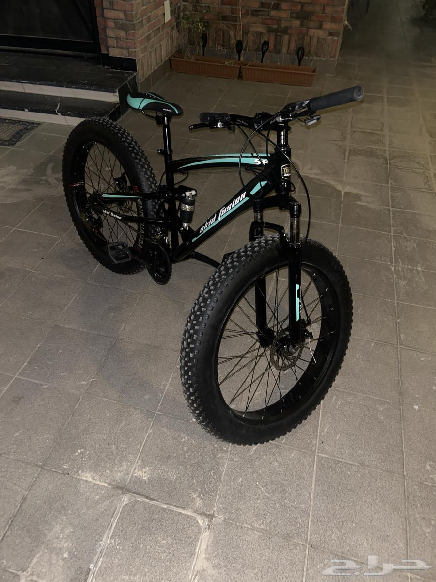 Stone cycle64440342794371111