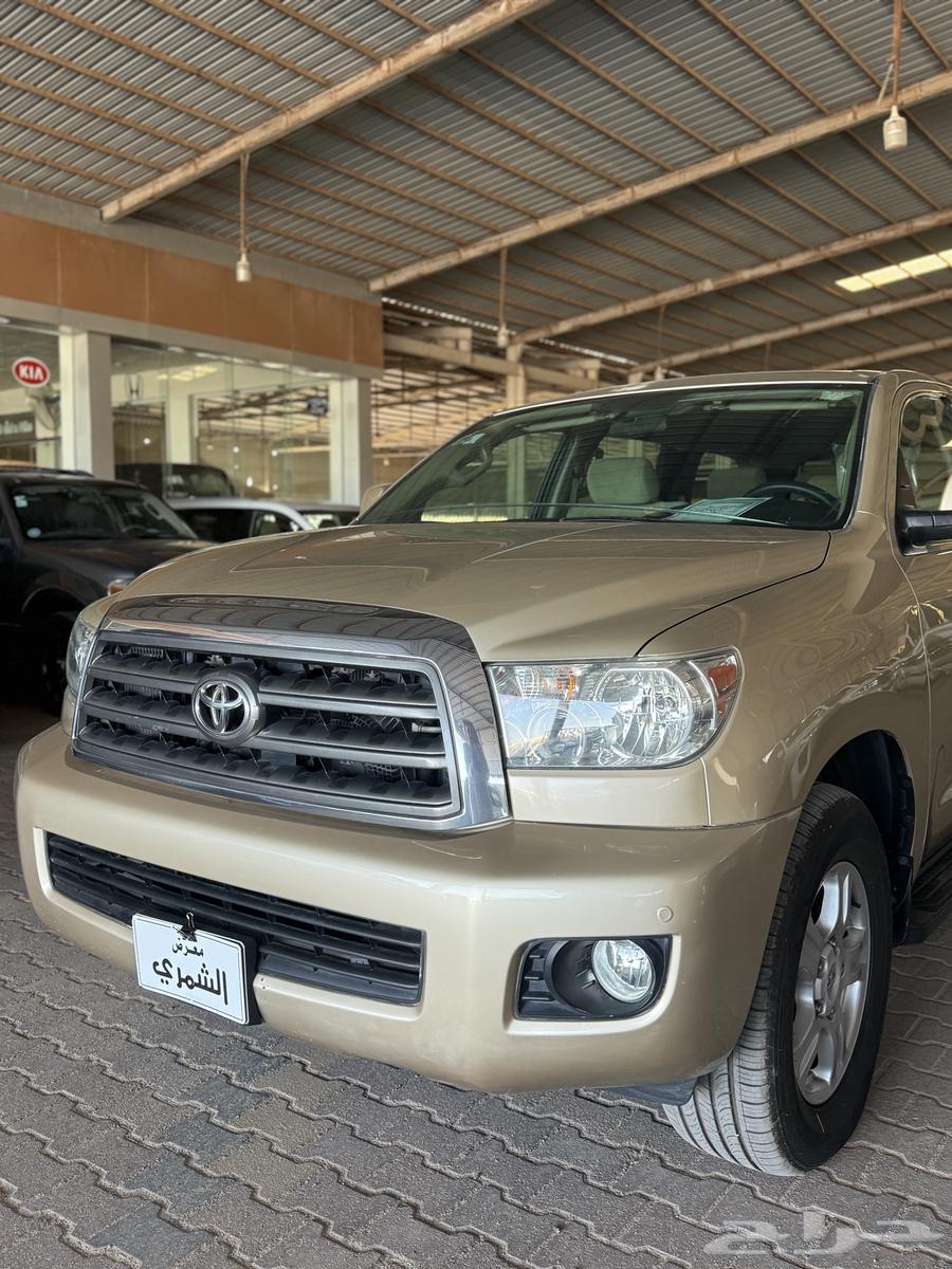 Scouia 201564598954233858113