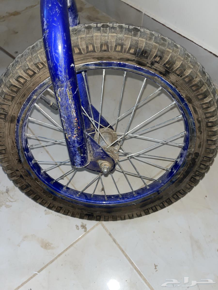 Cycle64436212839683114