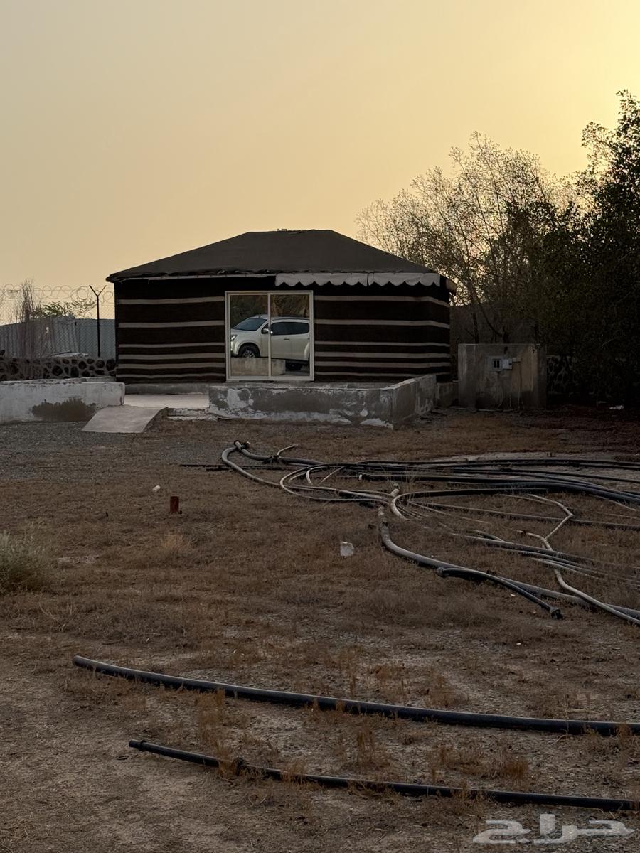 بيت شعر بكامل أثاثه للبيع64440887674242110