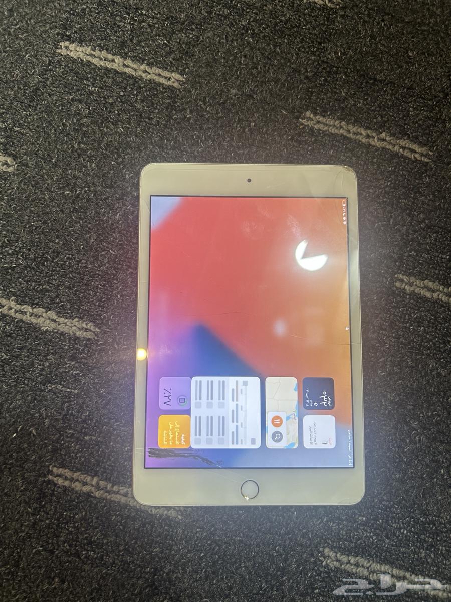 ايباد ميني 464434660400003111