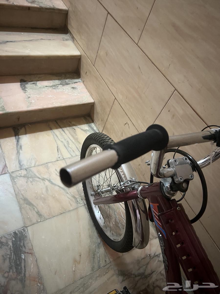 رامبو عنابي مقاس 2064439788651267112