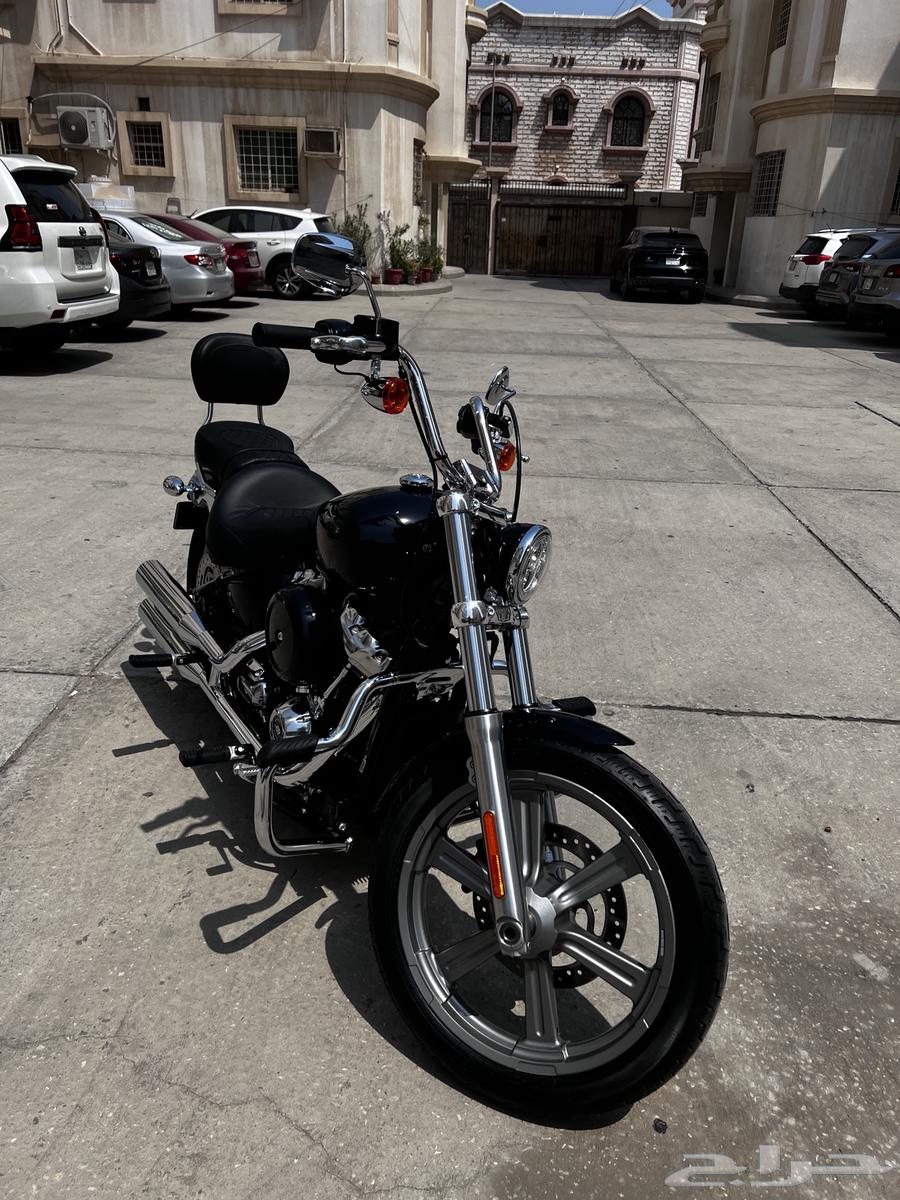 بيع هارلي ديفيدسون سوفتيل ستاندرد FXST 202364596895114753111
