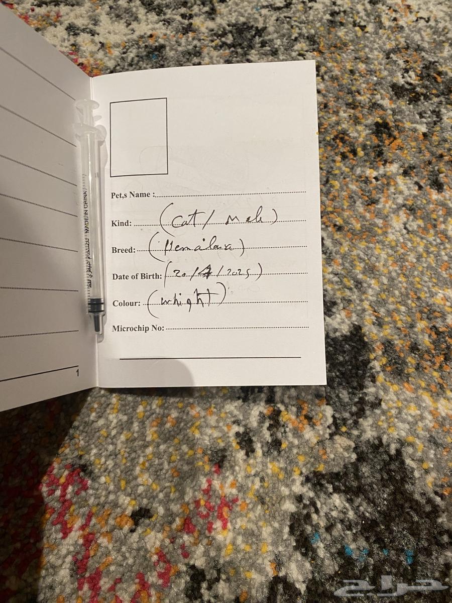 Himalayan Kitten for Sale64441567489667110